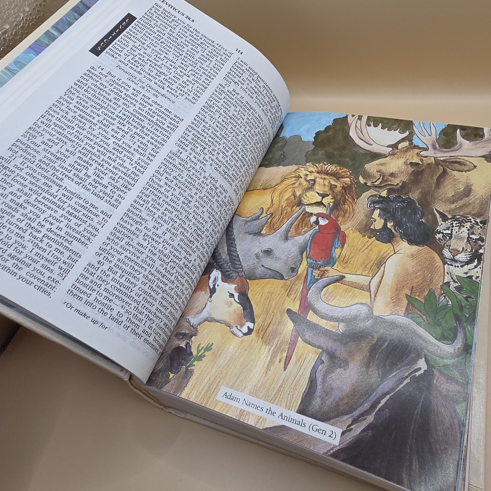 Children's Bible New Revised Standard Version with Pictures - Picture 4 of 6